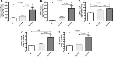 Impact of prolonged exposure to occasional and regular waterpipe smoke on cardiac injury, oxidative stress and mitochondrial dysfunction in male mice
